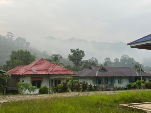 Kabut asap 