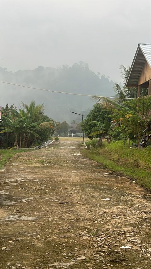 Kabut asap